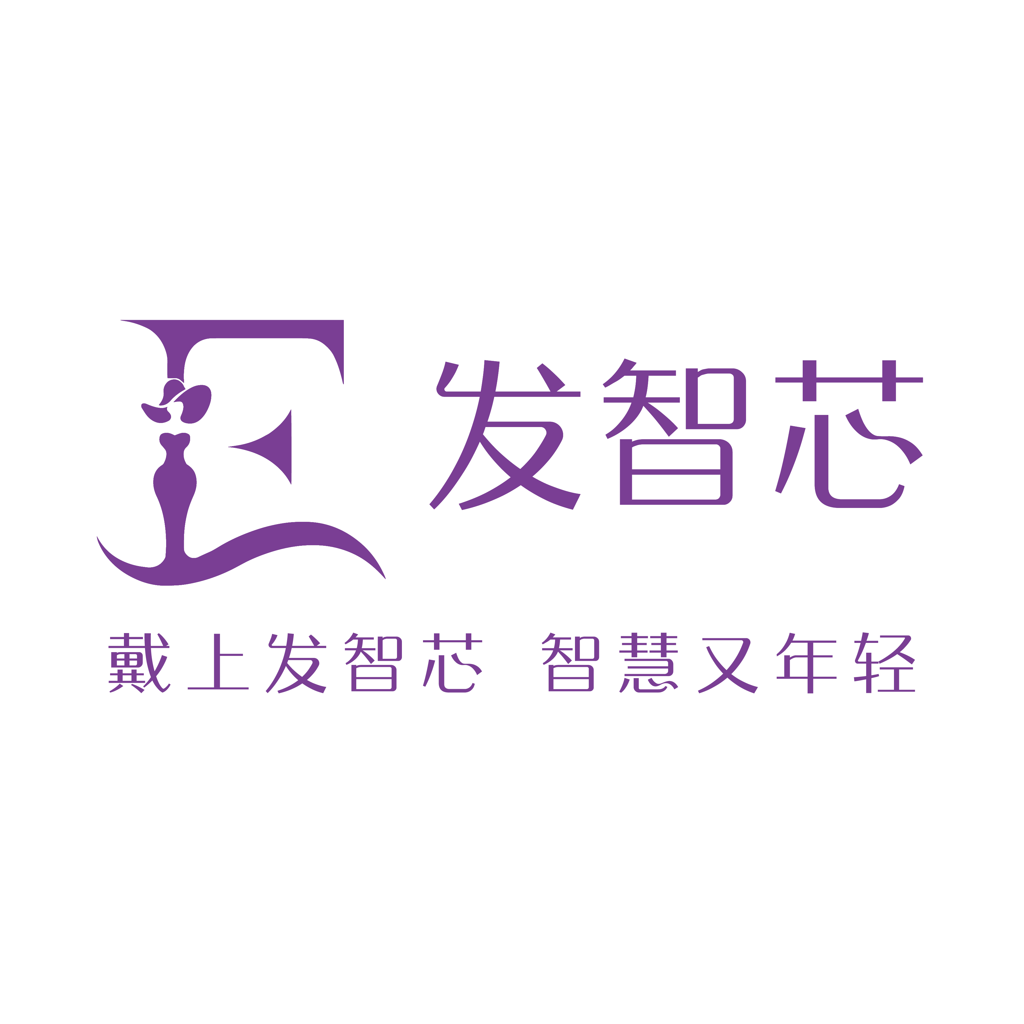 发智芯